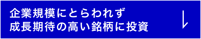 企業規模にとらわれず成長期待の高い銘柄に投資