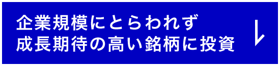 企業規模にとらわれず成長期待の高い銘柄に投資